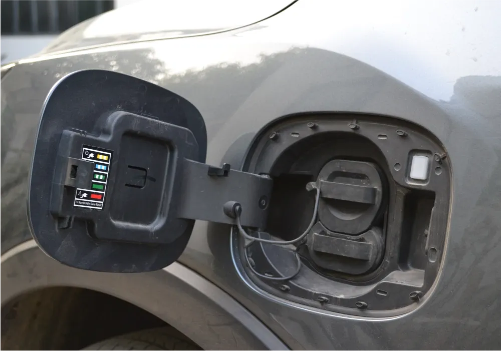 Green drives environmental and economic benefits of electric vehicles